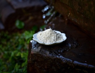 三七生粉詳解，一篇就夠了！