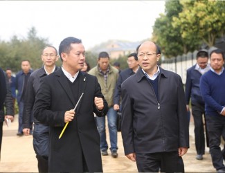 云南省委常委、副書記李秀領一行到苗鄉(xiāng)三七科技示范園考察調研