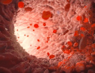 為什么三七被稱為“血管清道夫”？