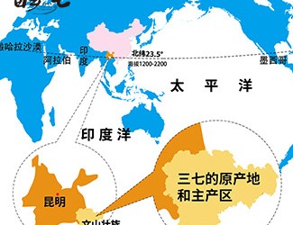 三七產(chǎn)地哪里的最好，廣西田七與云南三七有何區(qū)別