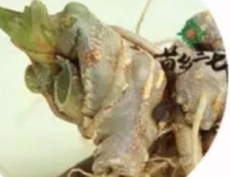 買三七注意事項，帶剪口和不帶剪口的巨大區(qū)別