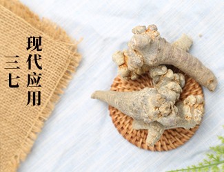 三七的功效作用在現(xiàn)代臨床中的應(yīng)用，揭秘醫(yī)生如何用三七治病