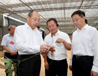 云南省委書(shū)記阮成發(fā)省長(zhǎng)王予波等領(lǐng)導(dǎo)到苗鄉(xiāng)三七調(diào)研指導(dǎo)