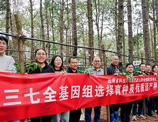 無數(shù)次從零到一，無數(shù)人前赴后繼守護三七“種業(yè)芯片”