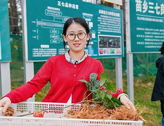 苗鄉(xiāng)三七良種喜獲豐收?。。?></a>
                    <a href=