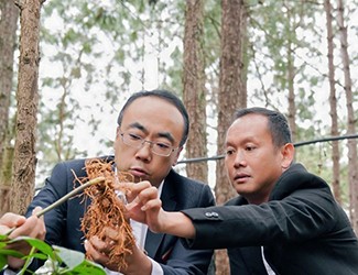 三七良種喜獲豐收，實(shí)現(xiàn)產(chǎn)量含量雙突破！