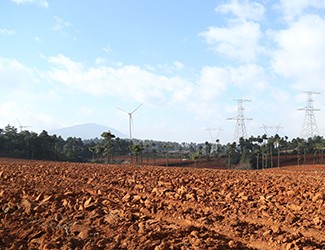 三七土壤危機何解？官會林教授開出“生態(tài)藥方”