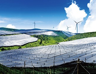 董林林博士如何看待苗鄉(xiāng)全產(chǎn)業(yè)鏈品控管理體系？